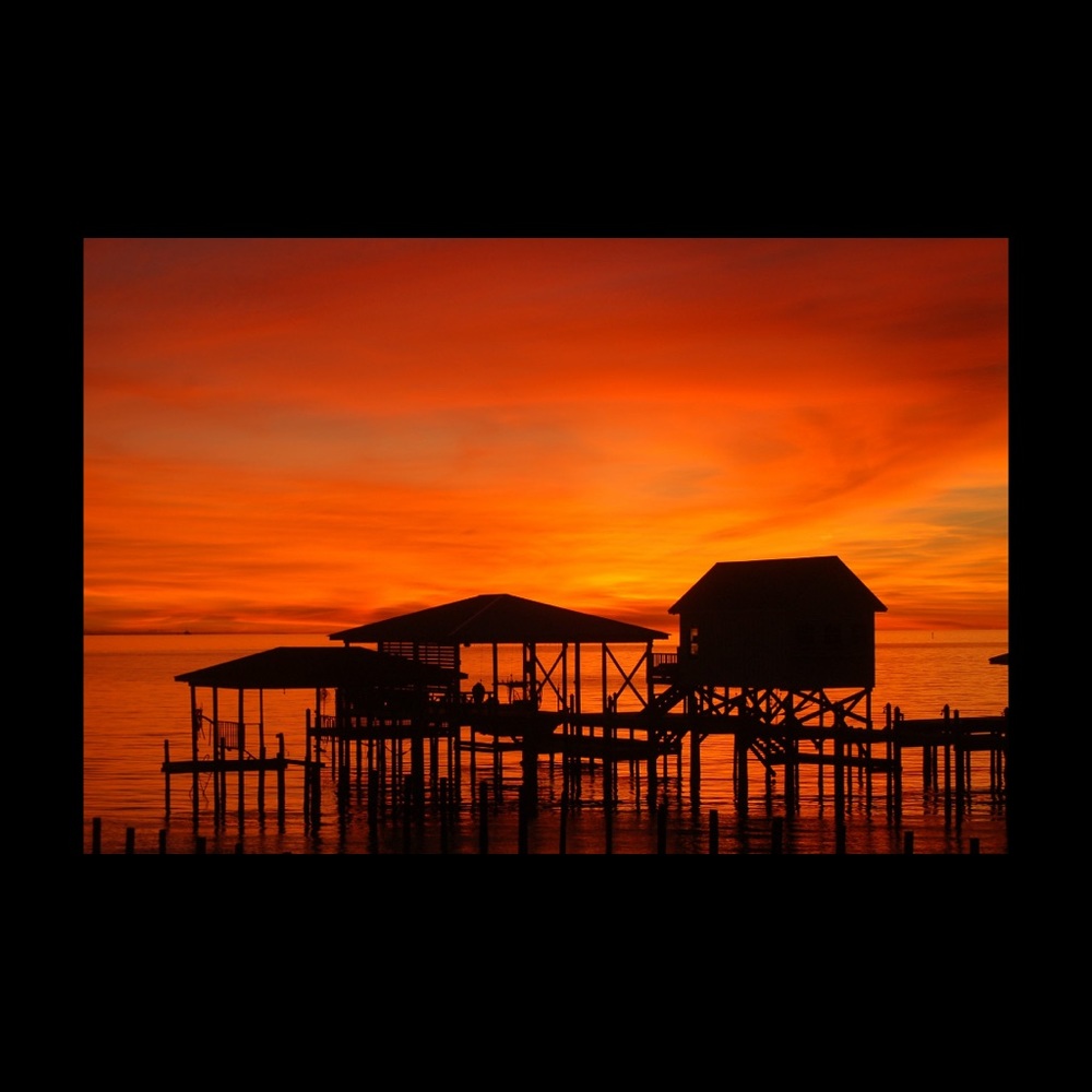 Meet your Posher, Janice